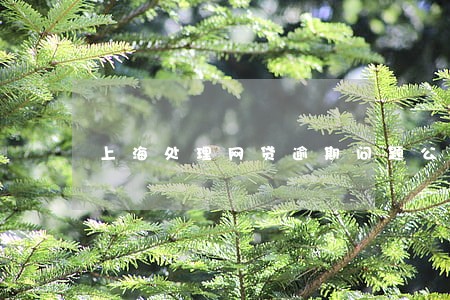 上海处理网贷逾期问题公司 上海处理网贷逾期问题公司