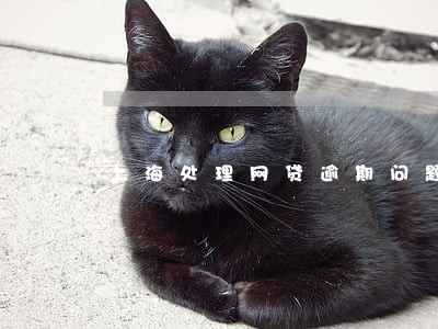 上海处理网贷逾期问题好的公司 上海处理网贷逾期问题好的公司