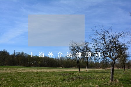 上海外企法律顾问 上海外企法律顾问