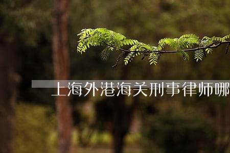 上海外港海关刑事律师哪家好 上海外港海关刑事律师哪家好