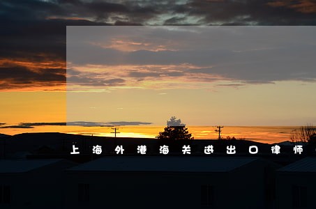 上海外港海关进出口律师哪家好 上海外港海关进出口律师哪家好