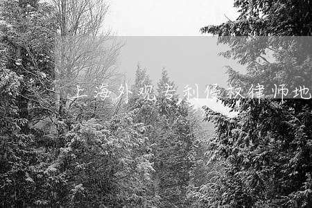 上海外观专利侵权律师地址 上海外观专利侵权律师地址