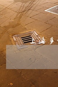 上海多少人员