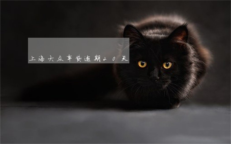 上海大众车贷逾期20天 上海大众车贷逾期20天