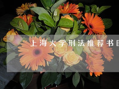 上海大学刑法推荐书目
