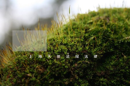 上海天然法规法律 上海天然法规法律