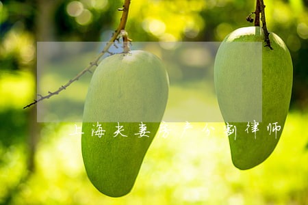 上海夫妻房产分割律师 上海夫妻房产分割律师