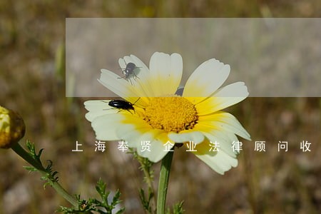上海奉贤企业法律顾问收费标准