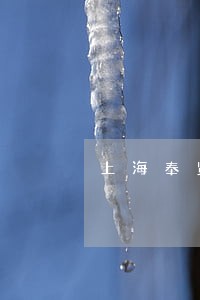 上海奉贤债务纠纷律师费用多少 上海奉贤债务纠纷律师费用多少