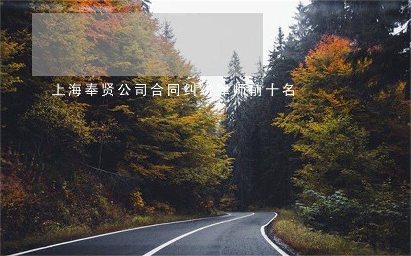 上海奉贤公司合同纠纷律师前十名 上海奉贤公司合同纠纷律师前十名