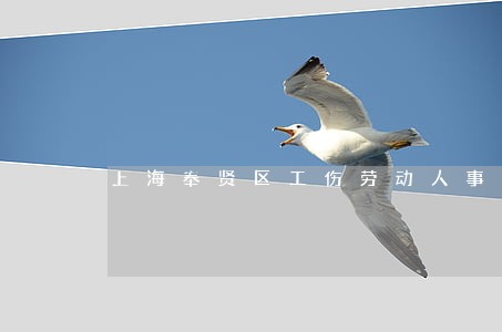 上海奉贤区工伤劳动人事律师费用 上海奉贤区工伤劳动人事律师费用