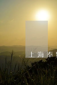 上海奉贤区抵押合同律师咨询电话 上海奉贤区抵押合同律师咨询电话