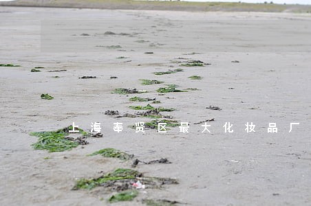 上海奉贤区最大化妆品厂 上海奉贤区最大化妆品厂