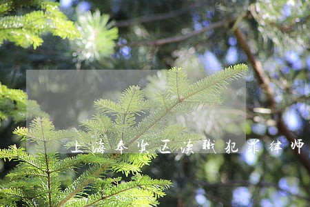上海奉贤区渎职犯罪律师咨询