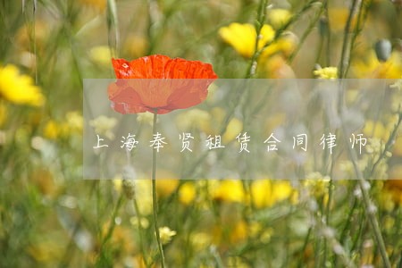 上海奉贤租赁合同律师 上海奉贤租赁合同律师