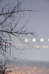 上海好点的房产纠纷律师 上海好点的房产纠纷律师