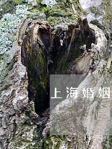 上海婚姻债务律师哪个服务好 上海婚姻债务律师哪个服务好