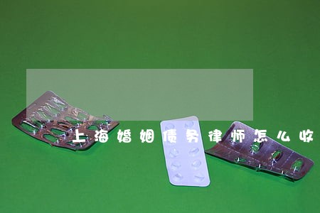 上海婚姻债务律师怎么收费 上海婚姻债务律师怎么收费