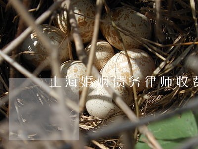 上海婚姻债务律师收费标准 上海婚姻债务律师收费标准