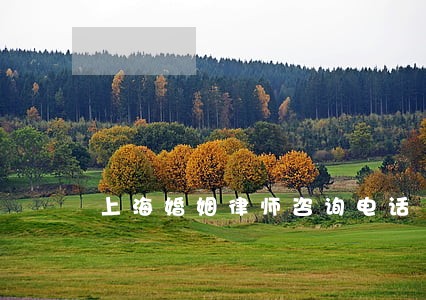 上海婚姻律师咨询电话 上海婚姻律师咨询电话
