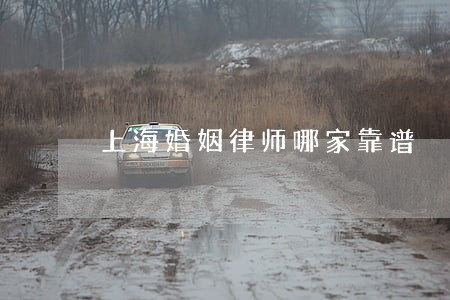 上海婚姻律师哪家靠谱
