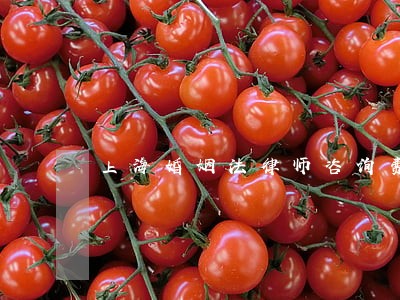上海婚姻法律师咨询费 上海婚姻法律师咨询费