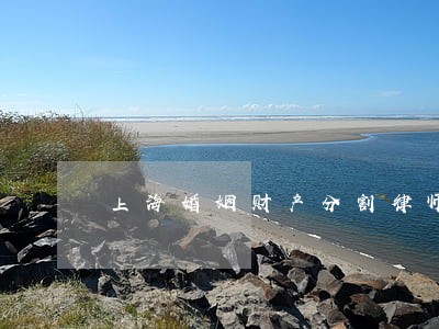 上海婚姻财产分割律师怎么委托