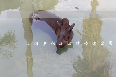 上海宏信达法律咨询公司 上海宏信达法律咨询公司