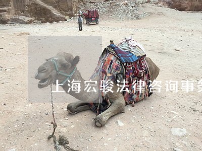 上海宏骏法律咨询事务所 上海宏骏法律咨询事务所