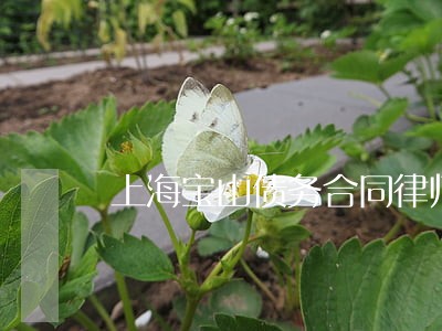 上海宝山债务合同律师服务费用 上海宝山债务合同律师服务费用