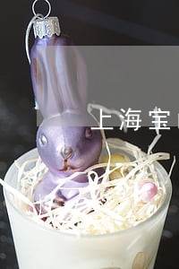 上海宝山区法律顾问电话 上海宝山区法律顾问电话
