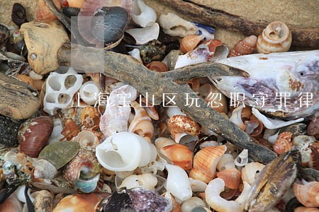 上海宝山区玩忽职守罪律师推荐 上海宝山区玩忽职守罪律师推荐