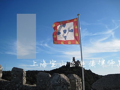 上海宝山区追债律师怎么收费