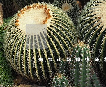 上海宝山婚姻律师费用多少 上海宝山婚姻律师费用多少