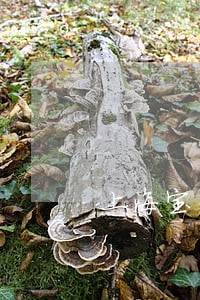 上海宝山房产交易律师 上海宝山房产交易律师