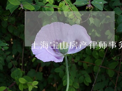 上海宝山房产律师事务所 上海宝山房产律师事务所