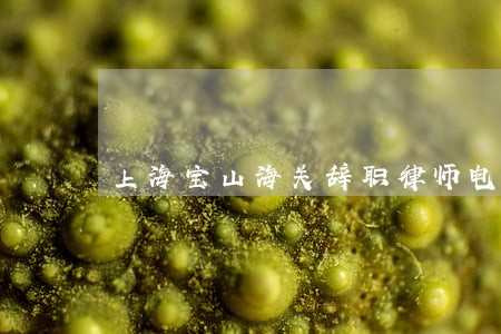 上海宝山海关辞职律师电话 上海宝山海关辞职律师电话