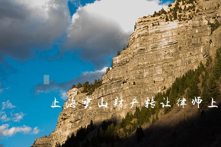 上海宝山财产转让律师上哪找 上海宝山财产转让律师上哪找