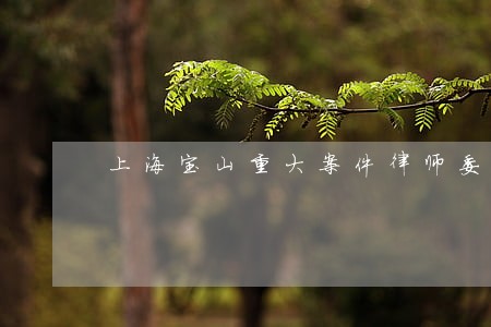 上海宝山重大案件律师委托咨询 上海宝山重大案件律师委托咨询