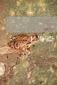 上海崇明区法律顾问 上海崇明区法律顾问