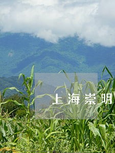 上海崇明律师事务所 上海崇明律师事务所