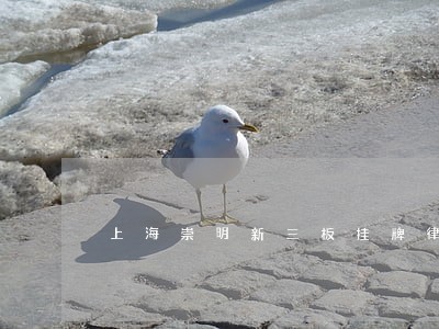 上海崇明新三板挂牌律师