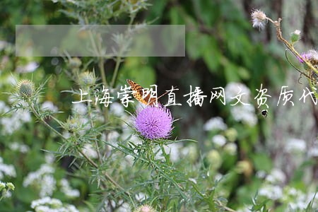 上海崇明直播网文资质代办违法吗 上海崇明直播网文资质代办违法吗