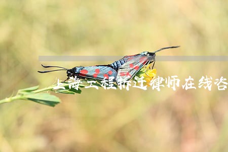 上海工程拆迁律师在线咨询 上海工程拆迁律师在线咨询
