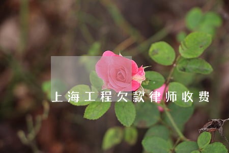 上海工程欠款律师收费 上海工程欠款律师收费