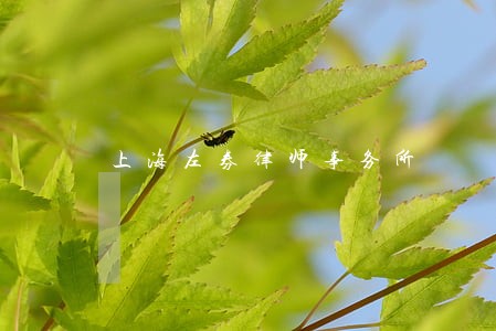 上海左券律师事务所 上海左券律师事务所