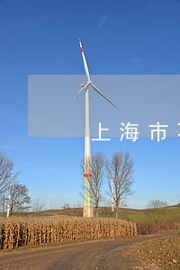 上海市不动产登记若干条例 上海市不动产登记若干条例