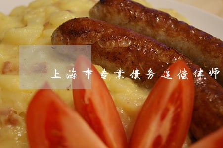 上海市专业债务追偿律师 上海市专业债务追偿律师