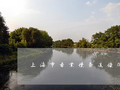 上海市专业债务追偿律师预约面谈 上海市专业债务追偿律师预约面谈