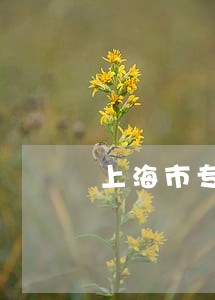 上海市专业刑事律师在线询问 上海市专业刑事律师在线询问